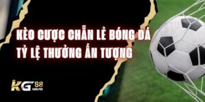 Kèo Cược Chẵn Lẻ Bóng Đá - Tỷ Lệ Thưởng Ấn Tượng